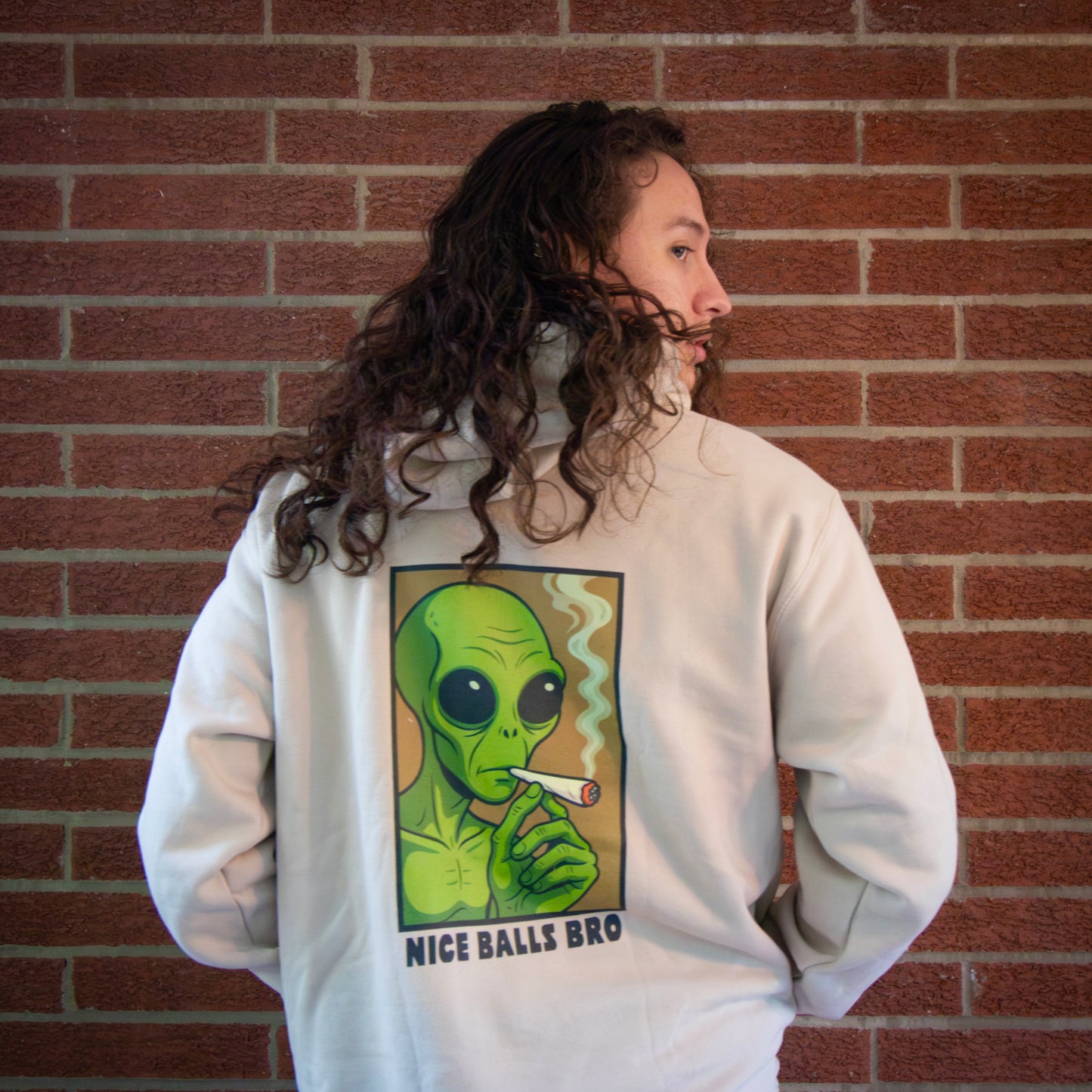"Nice Balls Bro" Hoodie