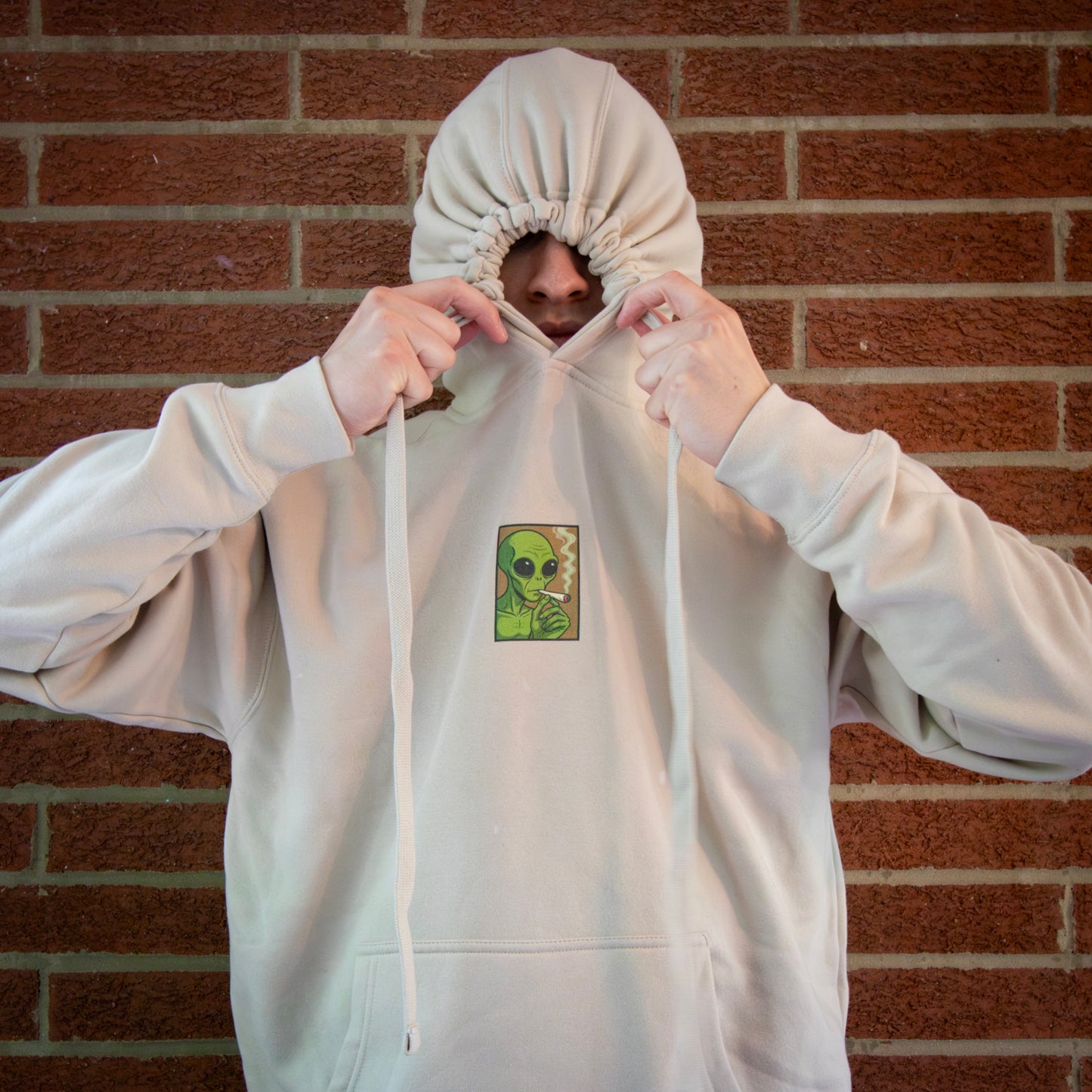 "Nice Balls Bro" Hoodie