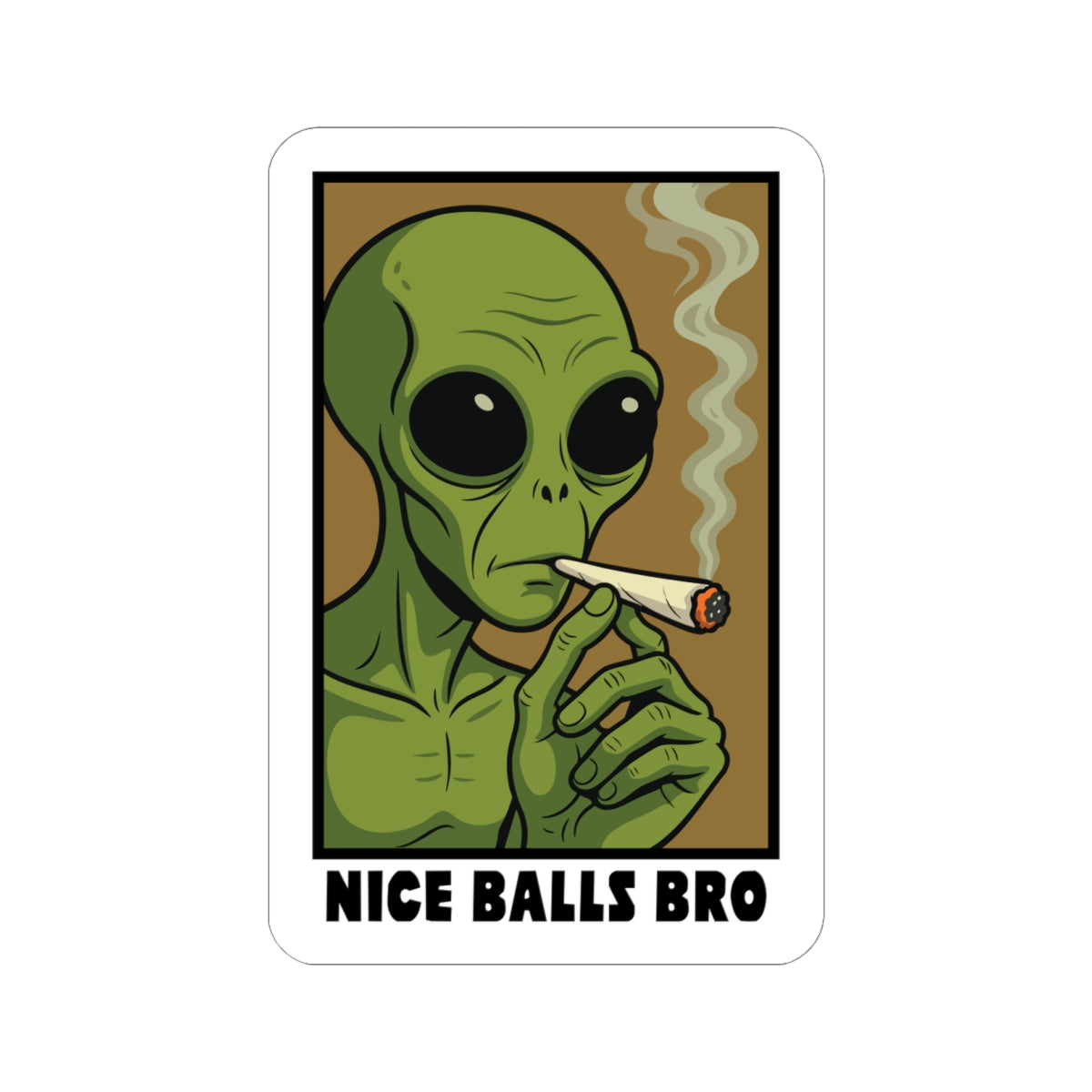 "Nice Balls Bro" Sticker