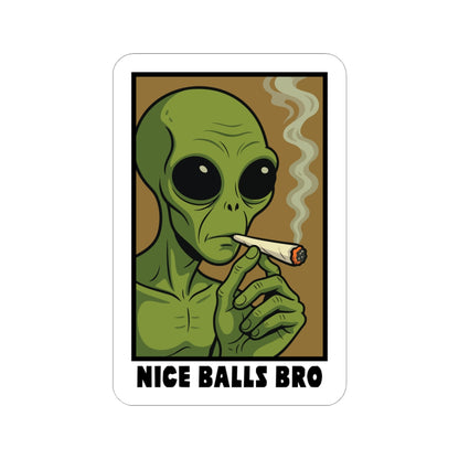 "Nice Balls Bro" Sticker