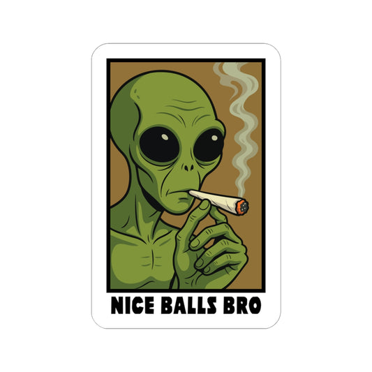 "Nice Balls Bro" Sticker